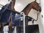 Humbaur Maximus 2700 S - Bild 6